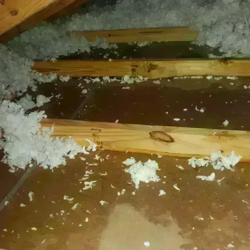 Attic Water Damage in Oasis, CA