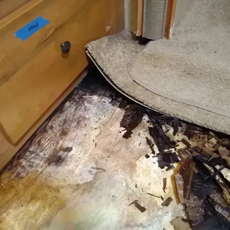 Wood Floor Water Damage in Oasis, CA